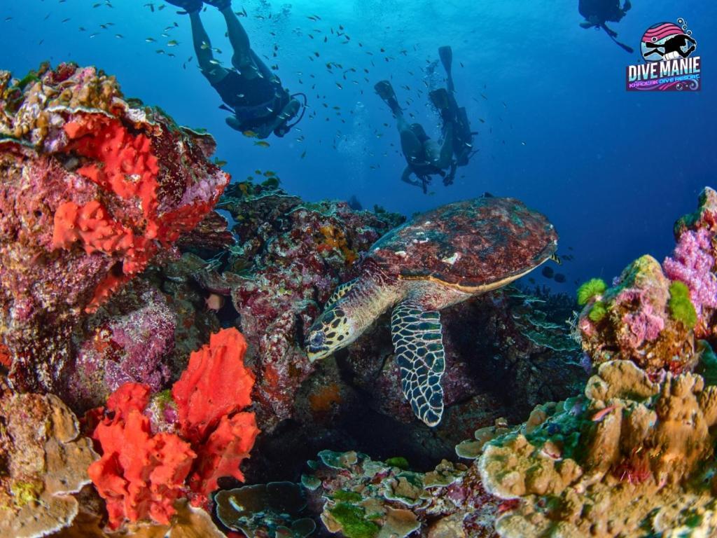 קאו לק Khaolak Dive Resort מראה חיצוני תמונה