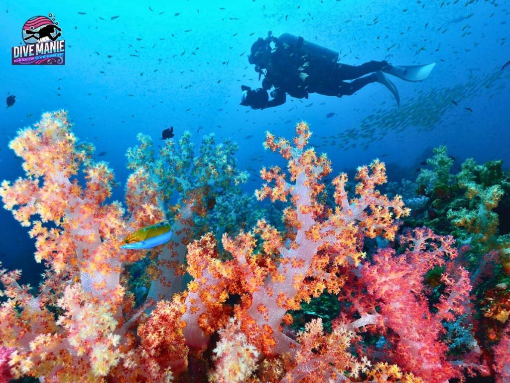קאו לק Khaolak Dive Resort מראה חיצוני תמונה