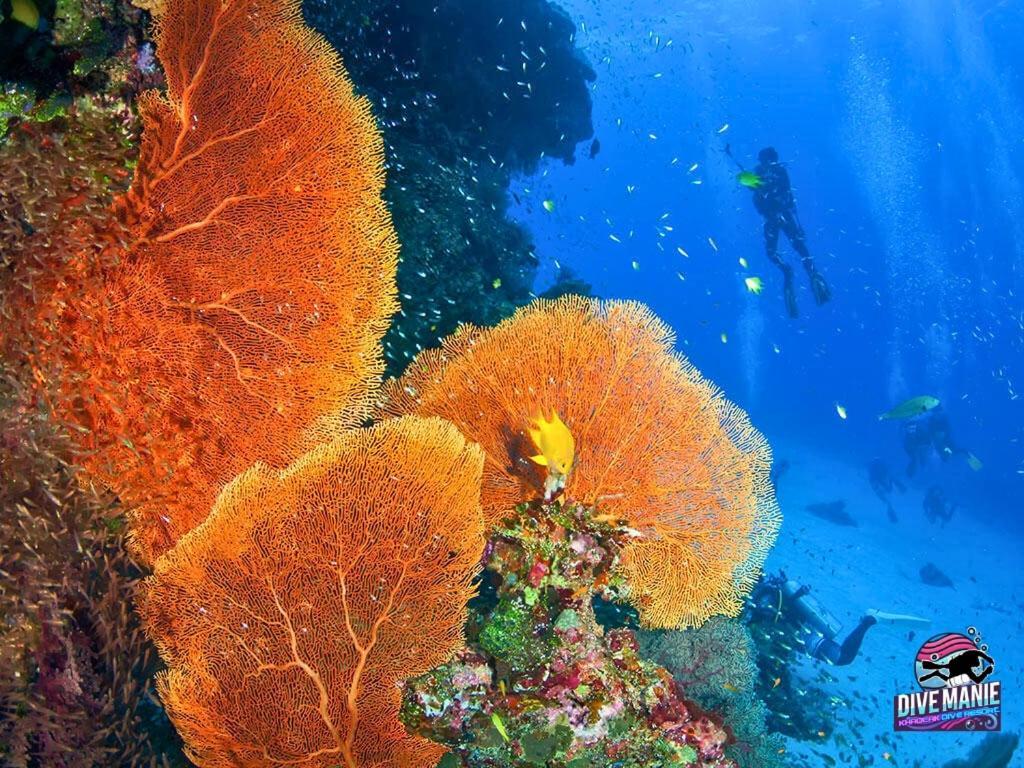 קאו לק Khaolak Dive Resort מראה חיצוני תמונה