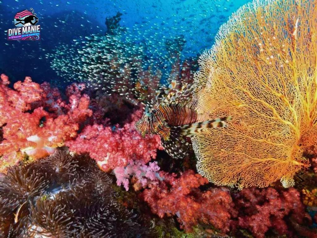 קאו לק Khaolak Dive Resort מראה חיצוני תמונה